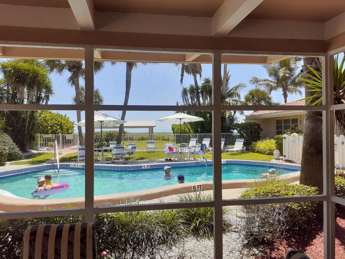Inn Turtle Crawl -